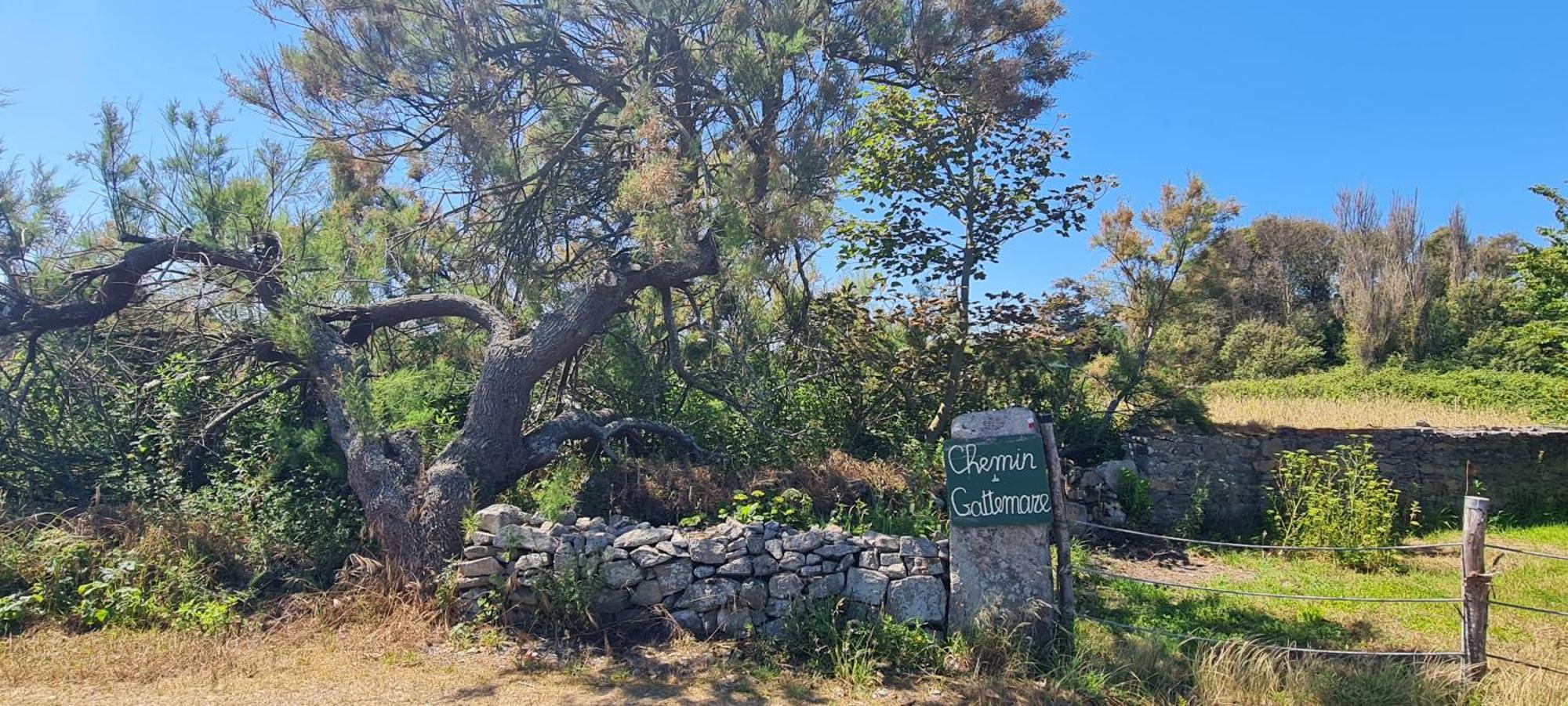 Relais Des Iles Saint Marcouf Vila Exterior foto
